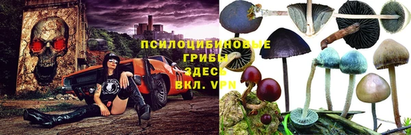 трава Абаза