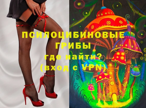 ешки Алексин