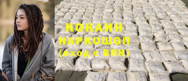 ешки Алексин