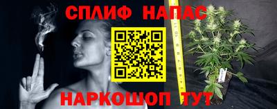 дмт Малгобек