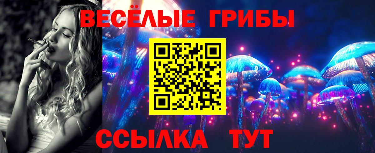 Псилоцибиновые грибы Cubensis  Вход с VPN  Подольск 